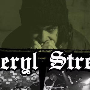 Meryl Streek performing live at The Hairy Dog, Derby
