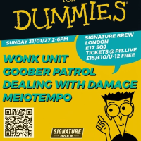 WONK UNIT/GOOBER PATROL & more performing live at Signature Brew Blackhorse Road, London
